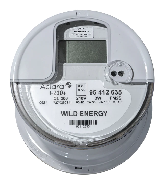 Wild Energy Electric Meter